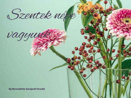 Árpádházi Szent Erzsébet és Szent Margit – borító